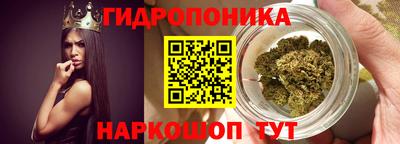 стафф Балаково