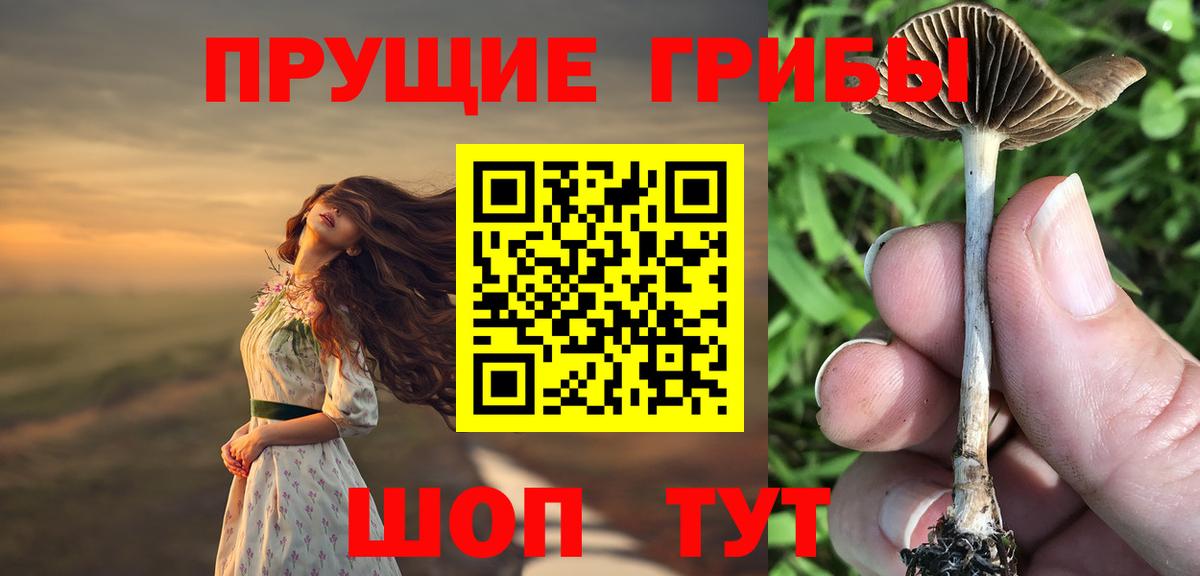 Галлюциногенные грибы Magic Shrooms Гудермес
