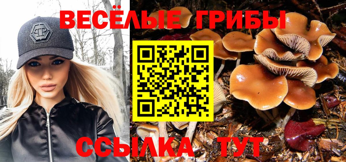 купить   Псилоцибиновые грибы Magic Shrooms  Вход с VPN  Гудермес 