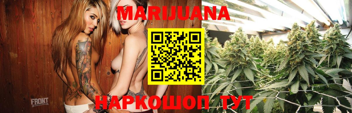 Каннабис OG Kush  МАРИХУАНА White Widow  Бошки Шишки план  Вход с VPN  Конопля OG Kush  Гудермес 